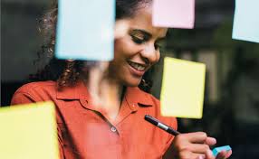 The Executive (CSES)