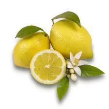 Image result for Citrus × limon