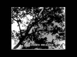 Image result for film (PYASE PANCHHI) (1961)