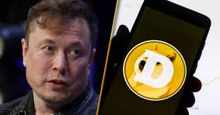 Elon musk has said he will buy out major dogecoin holders in order to help make the fringe cryptocurrency the currency of the internet. 8ws1plzxrqddqm