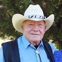 Wayne T. McNutt Obituary