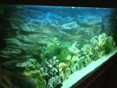 Large Fish Tank Side View Of 3d Rock Background Large Fish Tanks Fish Tank Rock Background