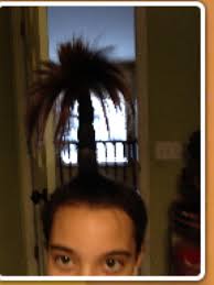 Got To Love The Palm Tree Hair Style Hair Hair Styles Style