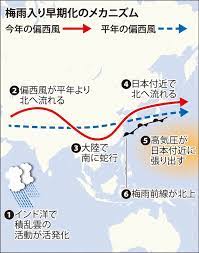 We're all still in shock over bakugo's kidnapping. 0kj7vskoonoy4m