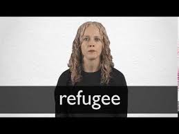 Refugee Definition And Meaning Collins English Dictionary