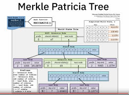 Merkle Patricia Tree Prefixes Simplify Blockchain
