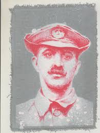 Parliament Of Trees Brighton