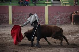 Franco Salcedo - Pagina Oficial