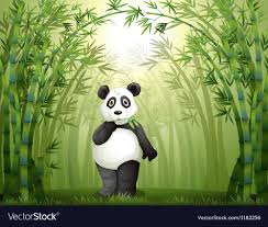 Cartoon Panda Bamboo Forest Vector Image On Vectorstock Bamboo Forest Cartoon Panda Vector Art