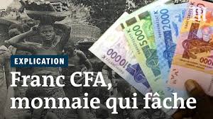 Franc Cfa Pourquoi Des Pays D Afrique De L Ouest N En Voulaient Plus Youtube
