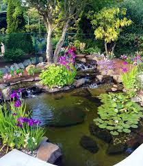 A Natural Pond And Low Rising Mortarless Stone Walls Adorn This Backyard Garden Description From Pin Garden Pond Design Ponds Backyard Backyard Water Feature