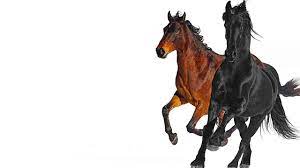 To put differently, this lifestyle is highlighted by hard living and womanizing. Lil Nas X Old Town Road Feat Billy Ray Cyrus Remix Youtube