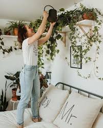 We would like to show you a description here but the site won't allow us. 8 Formas De Decorar Con Plantas Colgantes En Casa Decoracion