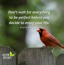 Birds Chirping In The Morning Quotes Pin By Anne Gorman On Chirping Birds Brave Quotes Animal Quotes Faith Encouragement
