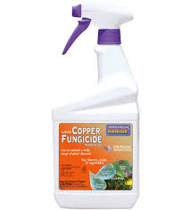 Maybe you would like to learn more about one of these? Liquid Copper Spray By Bonide 32oz Planet Natural