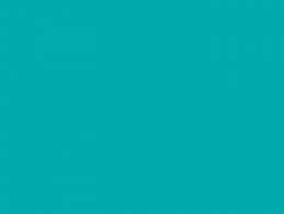 One Color Background For Zoom Teal Google Search Pantone Blue Backgrounds Fluorescent Colors