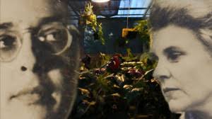 10 Highlights of the Houston Cinema Arts Festival