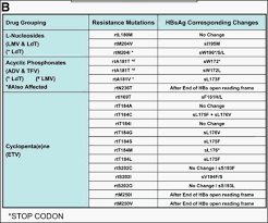 hepatitis b virus resistance to nucleos t ide analogues