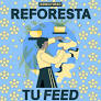 Reforesta tu feed con creadores de contenido indígena