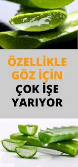 Goz Agrilari Icin Peygamber Tavsiyesi Bir Bitkidir Health And Wellness Healthy Healthy Living