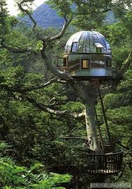 Maison Dans Arbre Maison Dans Les Arbres Maisons Insolites Et Hebergement Insolite