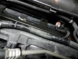 After The Sierra Lisbeth Leak: Whats Next? - Truth or Fiction