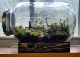 Terrarium Ideas Picture Garden Terrarium Garden Ideas Homemade Mini Garden