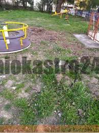 Χαίρε ειρήνη και χαρά λιμήν της σωτηρίας χαίρε νύμφη ανύμφευτε. Wraiokastro Mia Akomh A8lia Epikindynh Paidikh Xara Antidraseis Politwn Oraiokastro 24 H Enhmerwsh Den Exei Wra
