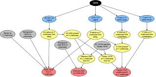 That the way you hold me, hold me, hold me, hold me, hold me. A Template For Constructing Bayesian Networks In Forensic Biology Cases When Considering Activity Level Propositions Sciencedirect