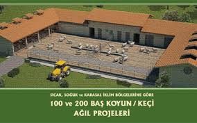 Kucukbas Koyun Ve Keci Agil Projesi Fizibilite Info