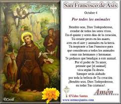 Biografia Imagen De San Francisco De Asis Oracion A San Francisco De Asis Oracion De San Francisco San Francisco De Asis Francisco De Asis