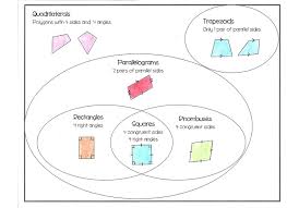 Is a square a type of rectangle? Unit 7 Polygons And Quadrilaterals Homework Answer Key Pdf