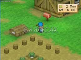 The fishing pole is an improved version of the fishing rod. Harvest Moon Back To Nature Gamecax