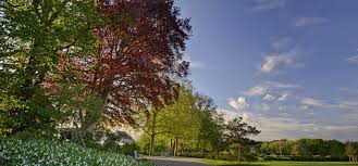 (début xxe siècle) composé de aller et de retour. Le Jardin Anglais Chateau De Chambord