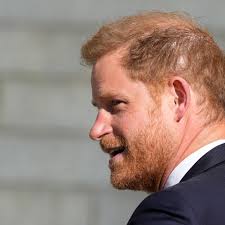 De Cabo Rojo a Nueva York: la extraordinaria paternidad del modelo Luis  Ocasio