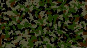 We did not find results for: Green Camo Wallpapers Wallpaper Cave