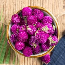 Image result for Gomphrena globosa