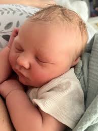 The Brunsville Blitz