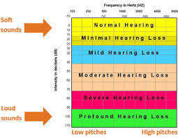 Hearing Loss Evaluation