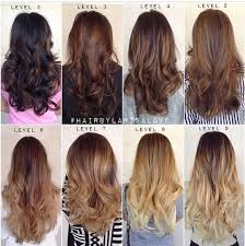 Level 6 Hair Styles Hair Beauty __cat__ Balayage Hair