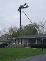 Are you looking for an online marketing company that understands the tree service industry and is able to produce results? Rg Tree Service Home Facebook