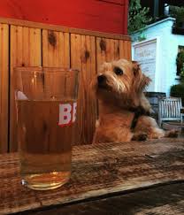 Check spelling or type a new query. Dog Friendly London Eat Out To Help Out In These 14 Restaurants
