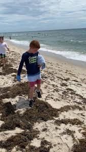 We did not find results for: Camp Live Oak Home Facebook