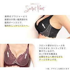 モノトーンフラワー カシュクールレース脇高ブラ(R) 単品ブラジャー- aimerfeel(エメフィール)公式通販サイト