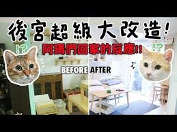 黃阿瑪的後宮生活 後宮超級大改造 阿瑪們回家的反應 youtube 生活 家 改造