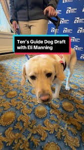 A groundbreaking day at the Penn Club in New York City! 🌟 🦮 Yesterday,  Eli Manning, two-time Super Bowl MVP and Guiding Eyes board member, joined  us to make history in the first-ever Guide Dog Draft, ...