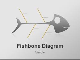 Fishbone Diagram