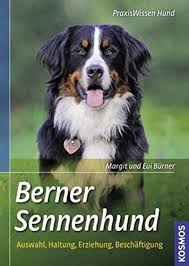Der berner sennenhund ist ein gutmütiger, sanfter familienhund, der seine leute nie im stich lässt. Berner Sennenhund Rasseportrait Charakter Wesen Und Haltung