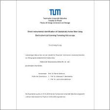 It also allows new mothers a peaceful period of bonding with her newborn and family. Direct Instrumental Identification Of Catalytically Active Sites Using Electrochemical Scanning Tunneling Microscopy Yunchang Li