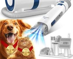 dog grooming toolsの画像